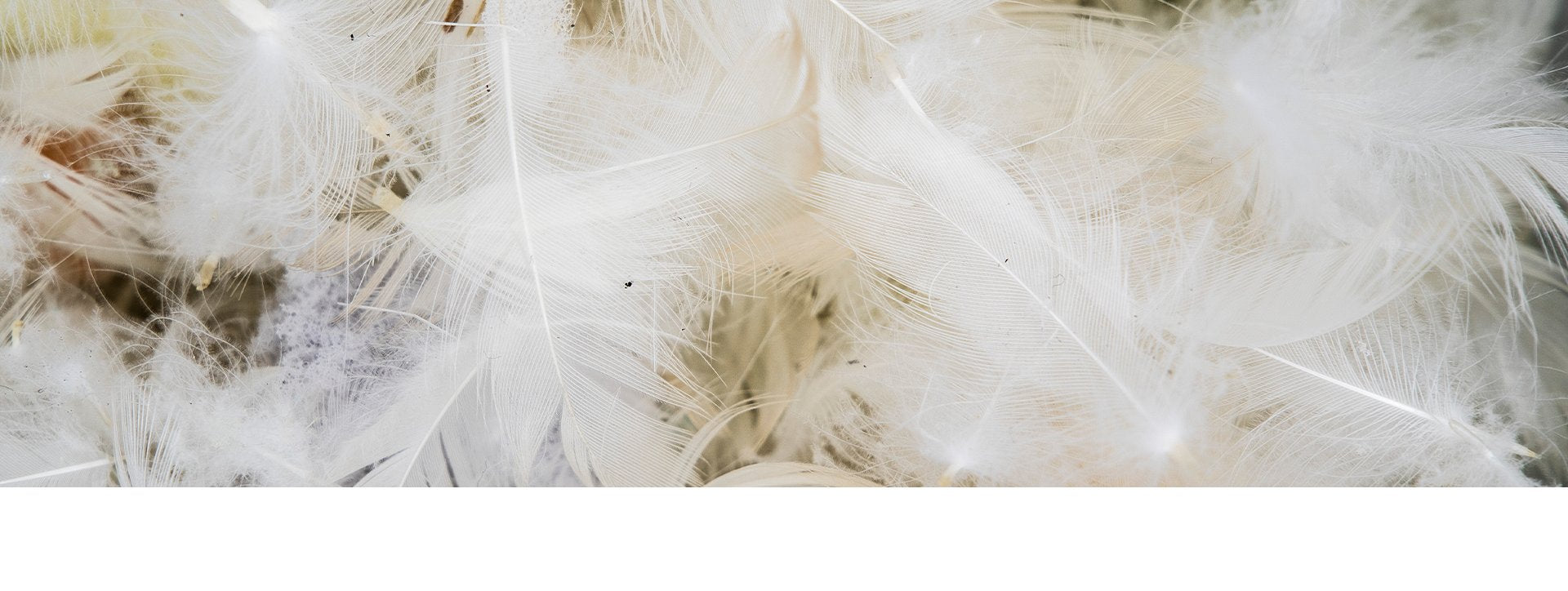 Materiales de relleno