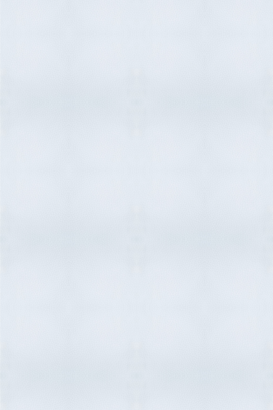 Funda rulo 20x55 cm sofá cama de goma Prestige Blanco OUTLET